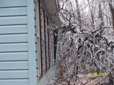 Neighbor's Bowed Porch